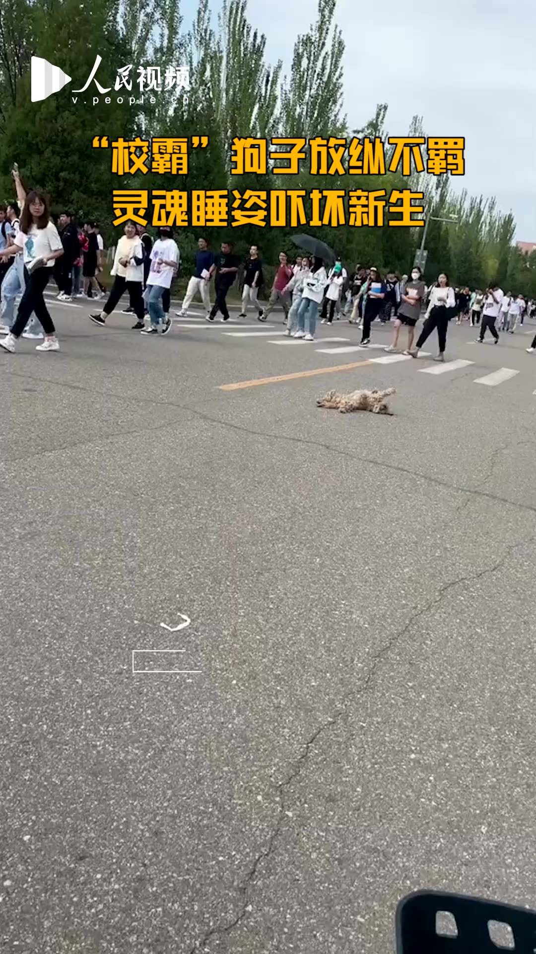 四仰八叉打一最佳生肖的警惕虚假宣传-全面释义、解释与落实、构建解答解释落实